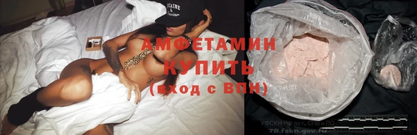индика Белоозёрский