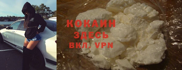 индика Белоозёрский