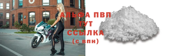 индика Белоозёрский