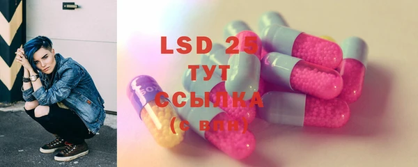 индика Белоозёрский