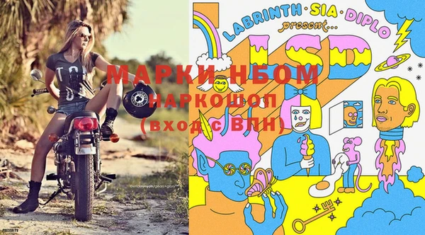 ешки Белокуриха