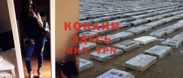 ешки Белокуриха