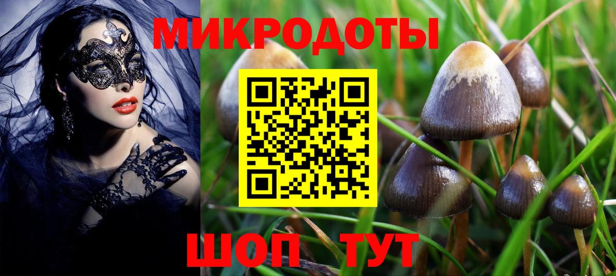 Псилоцибиновые грибы ЛСД  Вход с VPN  Бутурлиновка 